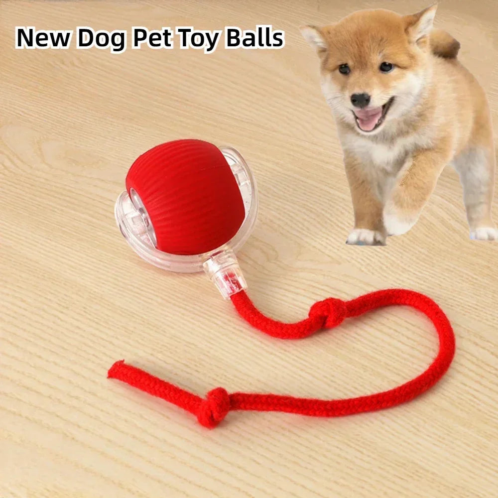 Interactive Dog Ball Automatic Puppy Toys for Puppies Dogs Toy Pet Balls Cats Products Intelligence Moving Small Supplies Home