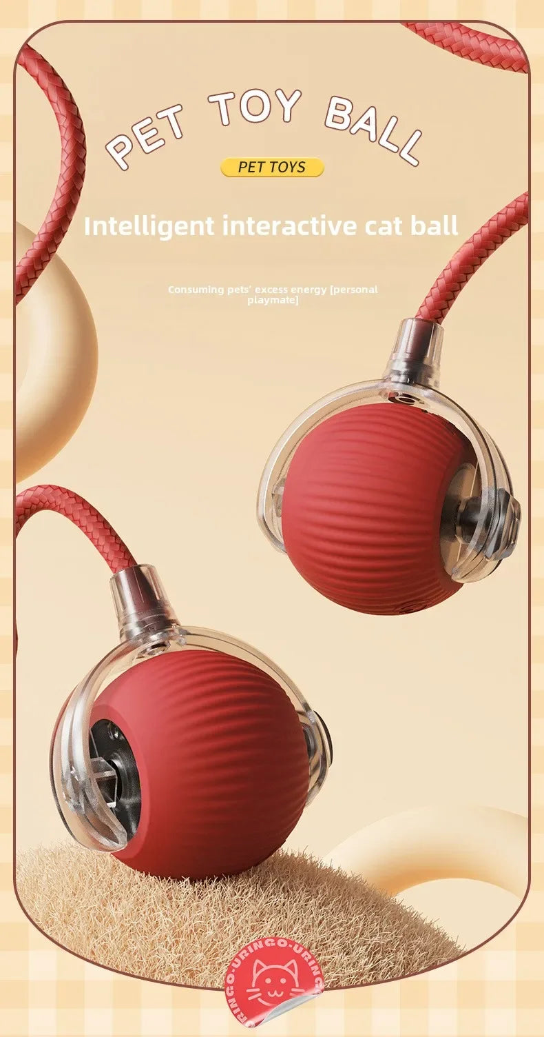 Interactive Dog Ball Automatic Puppy Toys for Puppies Dogs Toy Pet Balls Cats Products Intelligence Moving Small Supplies Home