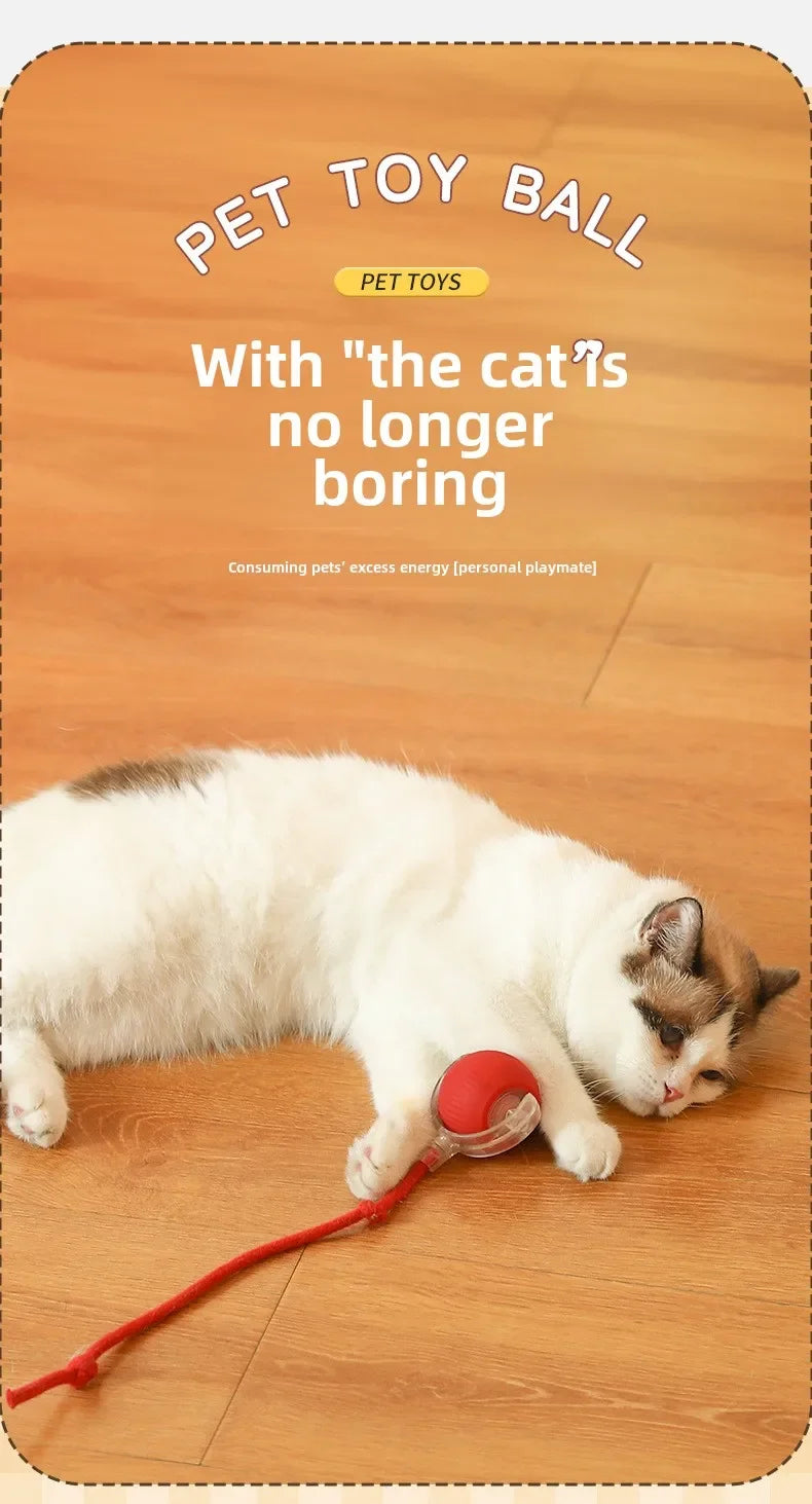 Interactive Dog Ball Automatic Puppy Toys for Puppies Dogs Toy Pet Balls Cats Products Intelligence Moving Small Supplies Home