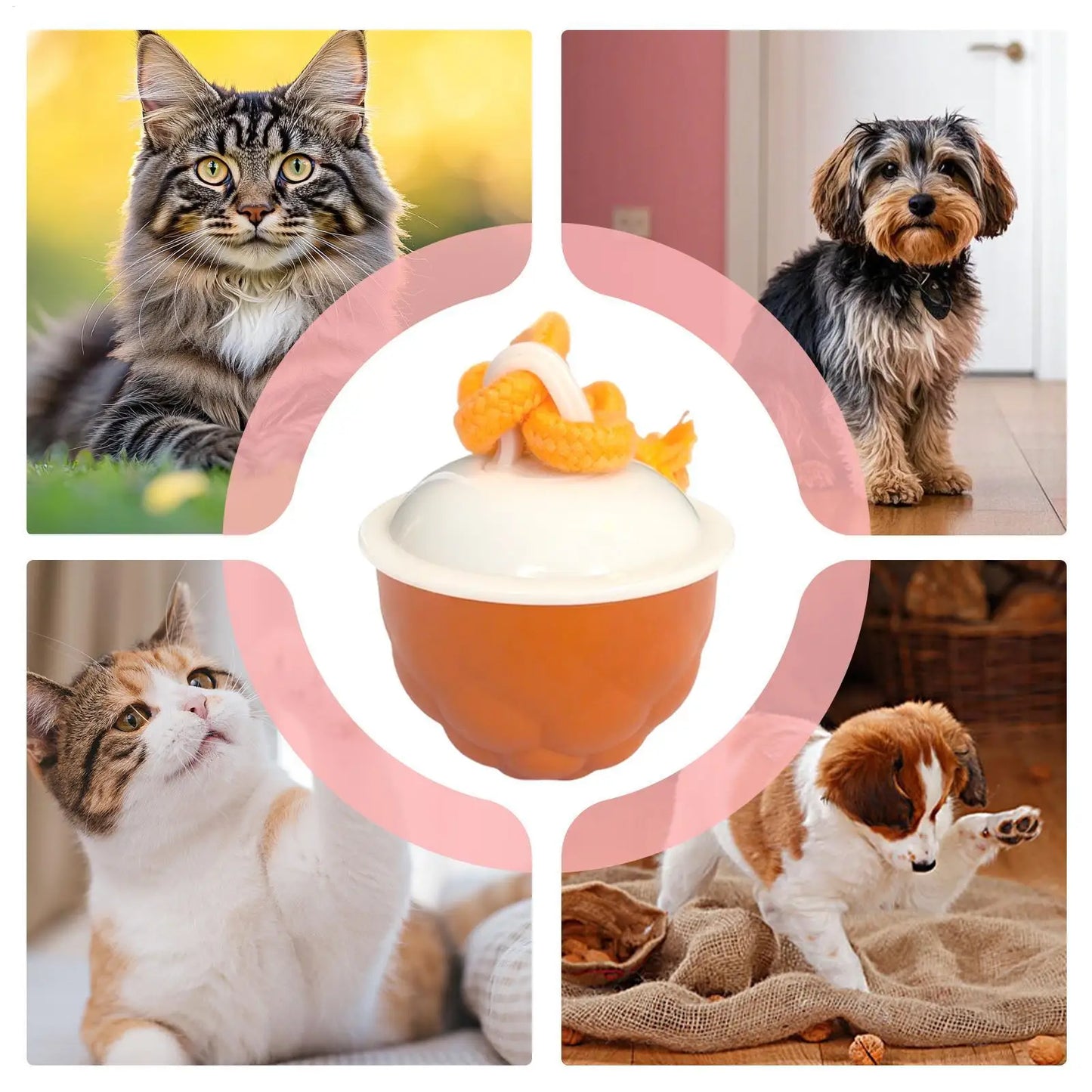 Interactive Dog Ball Active Rolling Ball For Dogs Motion Activated Automatic Pet Supplies With Light Sound For Small Medium