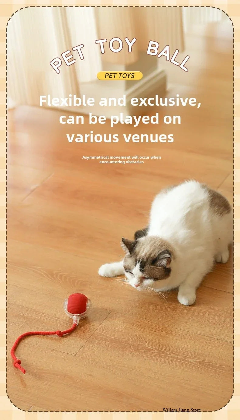 Interactive Dog Ball Automatic Puppy Toys for Puppies Dogs Toy Pet Balls Cats Products Intelligence Moving Small Supplies Home