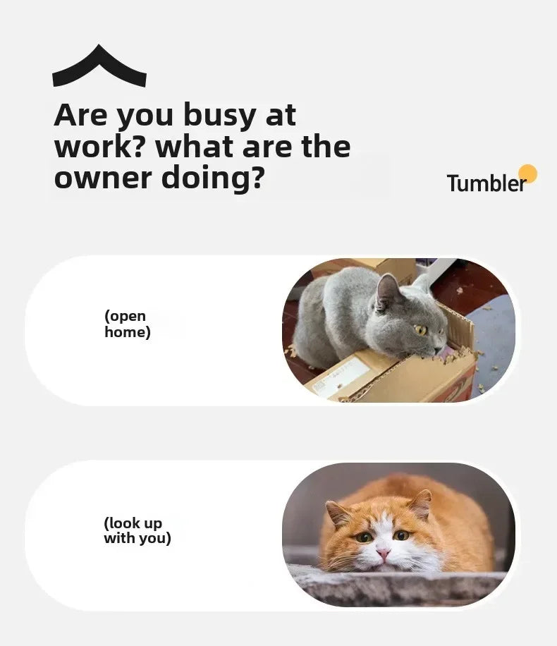 Interactive Dog Ball Automatic Puppy Toys for Puppies Dogs Toy Pet Balls Cats Products Intelligence Moving Small Supplies Home