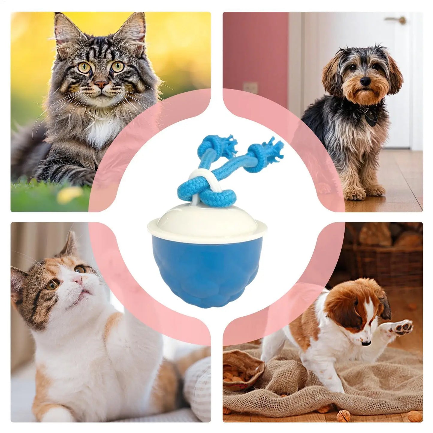 Interactive Dog Ball Active Rolling Ball For Dogs Motion Activated Automatic Pet Supplies With Light Sound For Small Medium