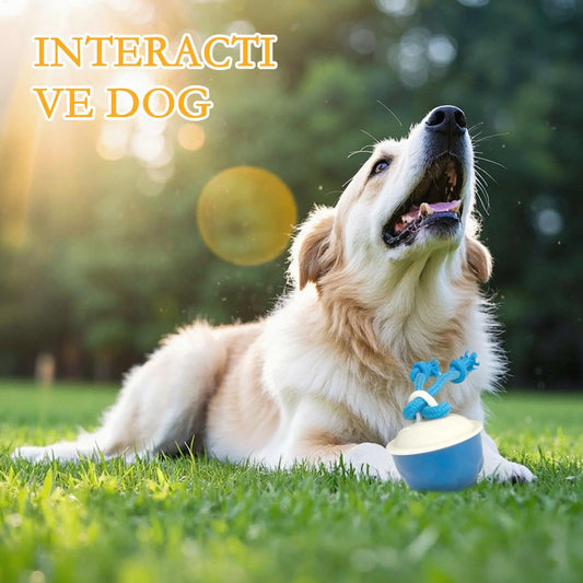 Interactive Dog Ball Active Rolling Ball For Dogs Motion Activated Automatic Pet Supplies With Light Sound For Small Medium